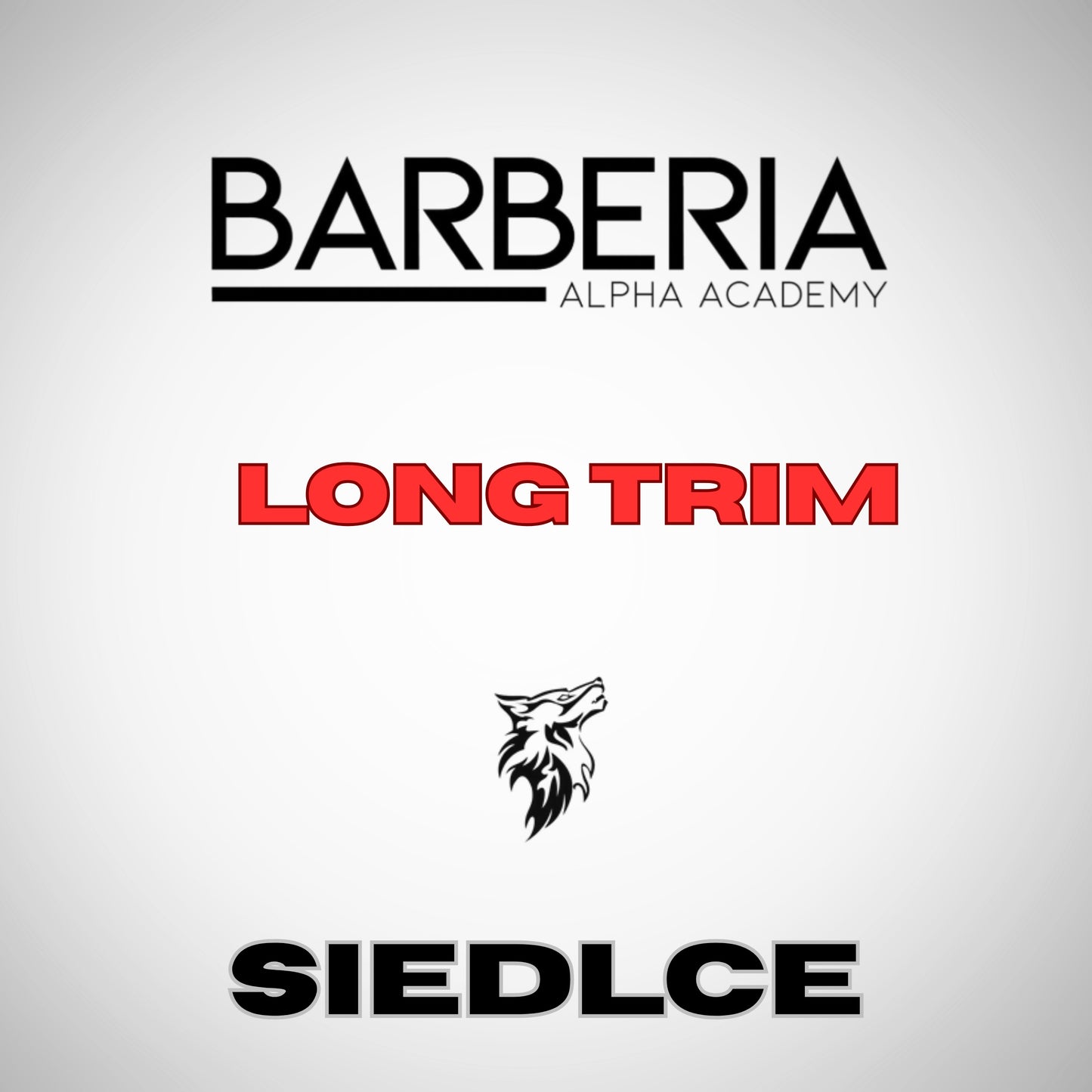 Kurs "Long Trim" - strzyżenie i modelowanie długich form