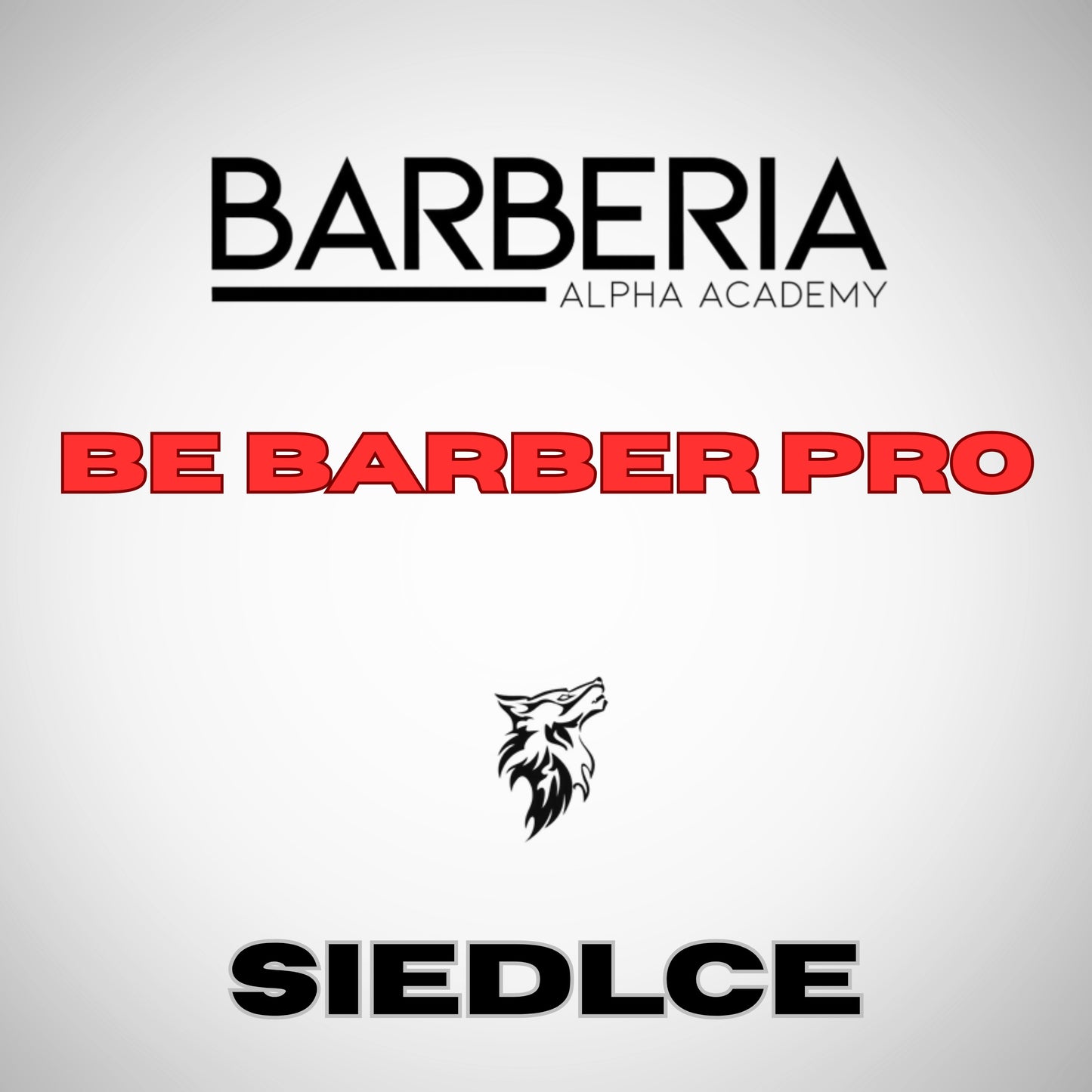 Kurs "BBP"- Be Barber Pro - kurs doszkalający